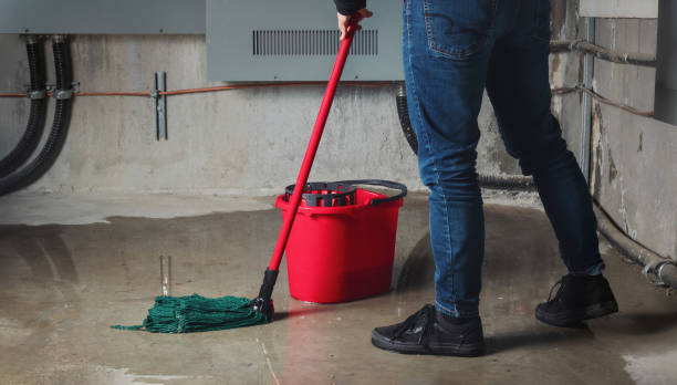 Best Basement water damage restoration  in Jamestown, TN