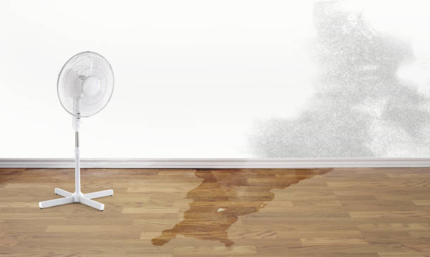 Water damage restoration process in Jamestown, TN