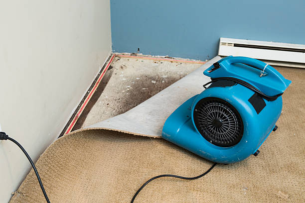  Jamestown, TN Water damage restoration Pros
